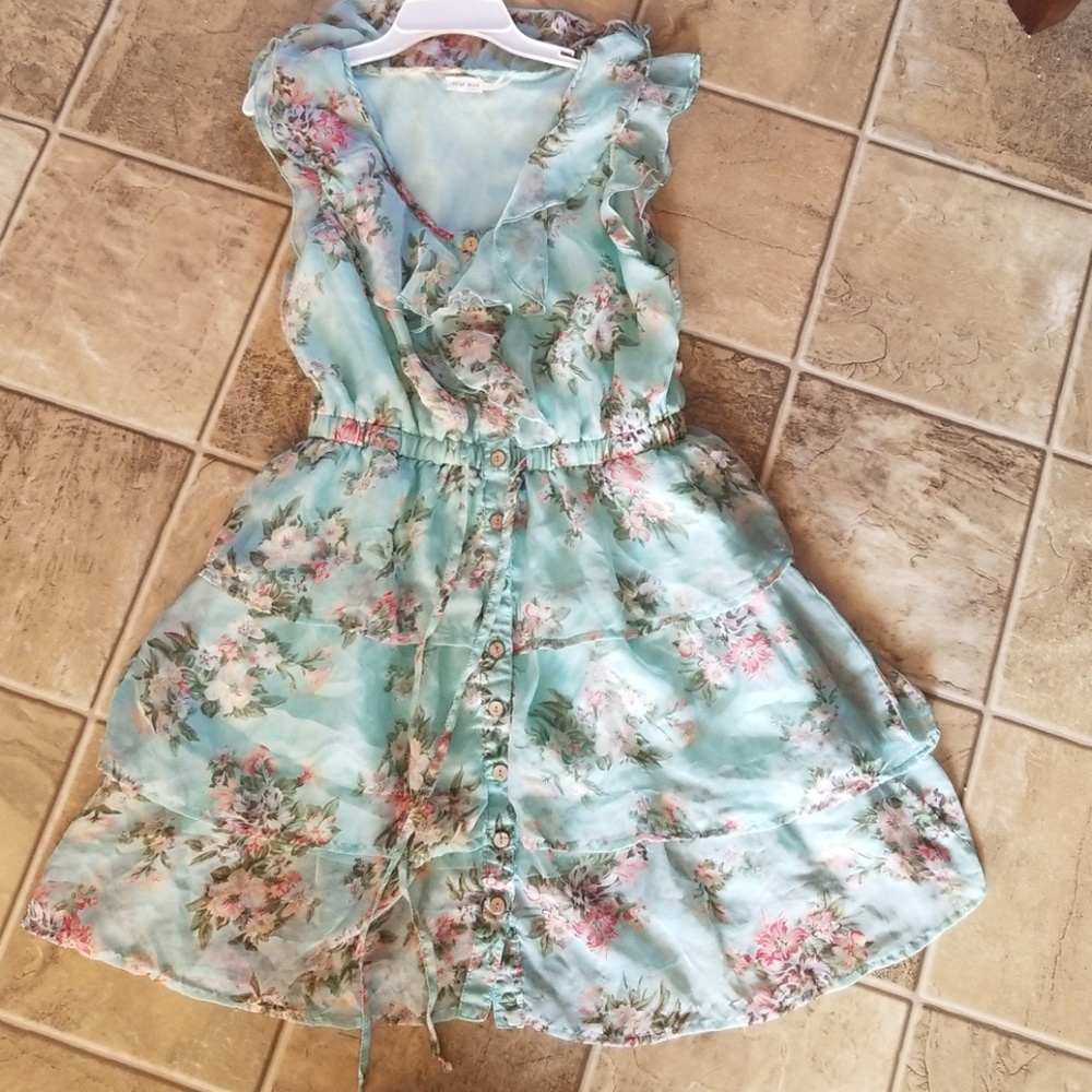 Blue Bird dress